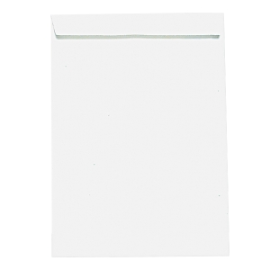 BX500 ENV STRIP VELLOWS 19X26 80G WHITE