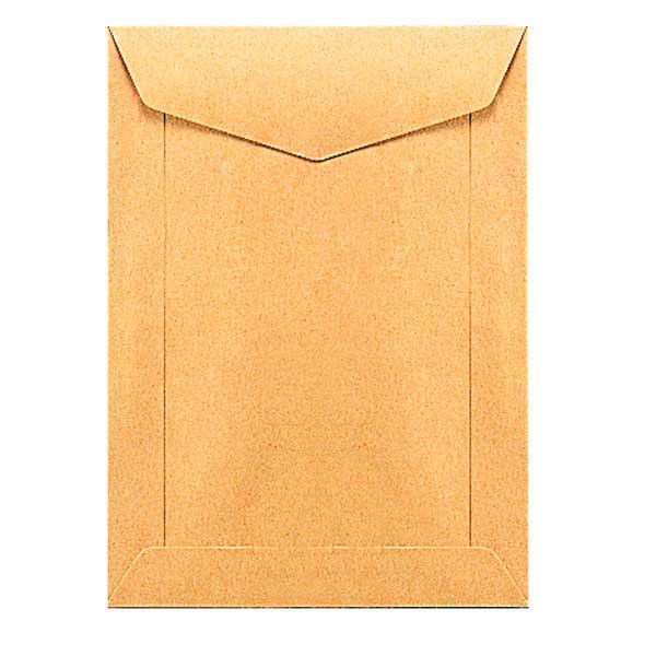 Special envelopes wage-packet 115x160mm 70g brown - box of 1000