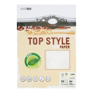 PK50 TOP STYLE LAID PAP 90G IVRY