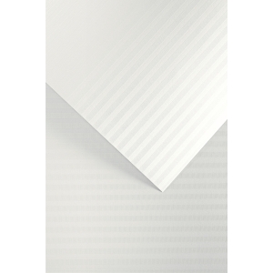 RM20 EMBOSSED CARD PAP BALI 220G WH