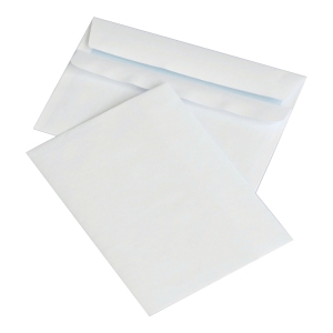 PK1000 ENV C6 S/S WH