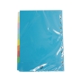 ESPP Paper Index Divider 10 colour - Pack of 5