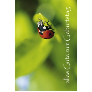 Doppelkarte Art Bula, Geburtstag, 175x122 mm, deutsch