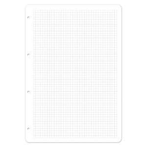 Paper A4, 5mm squared, 4-hole, with margin, pack of 100