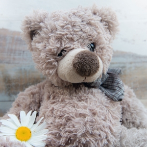 Doppelkarte Naturverlag 3008N, Ereignis, 135x135 mm, Teddy, neutral