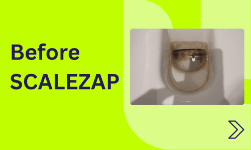 Before SCALEZAP - After SCALEZAP