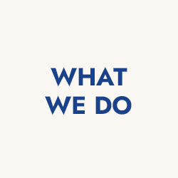 What We Do