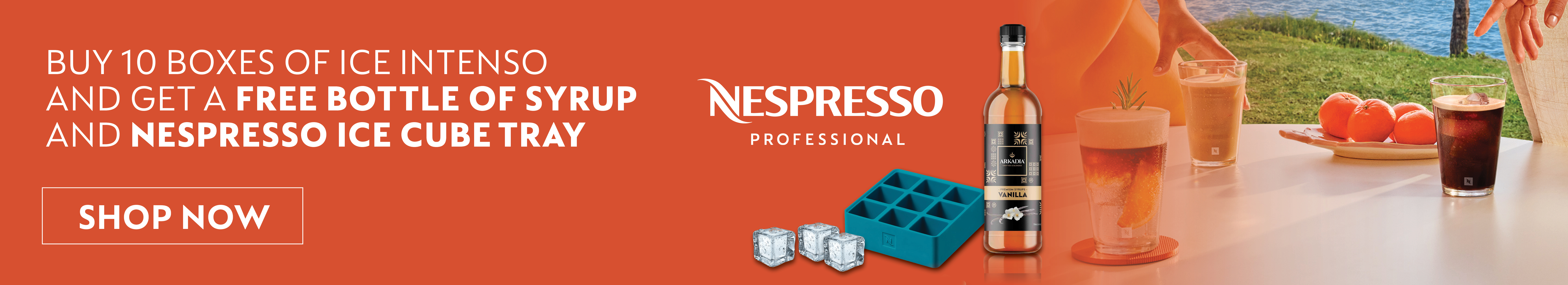 ICE CUBE TRAY DEAL