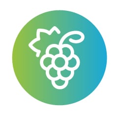 In-season and regular options