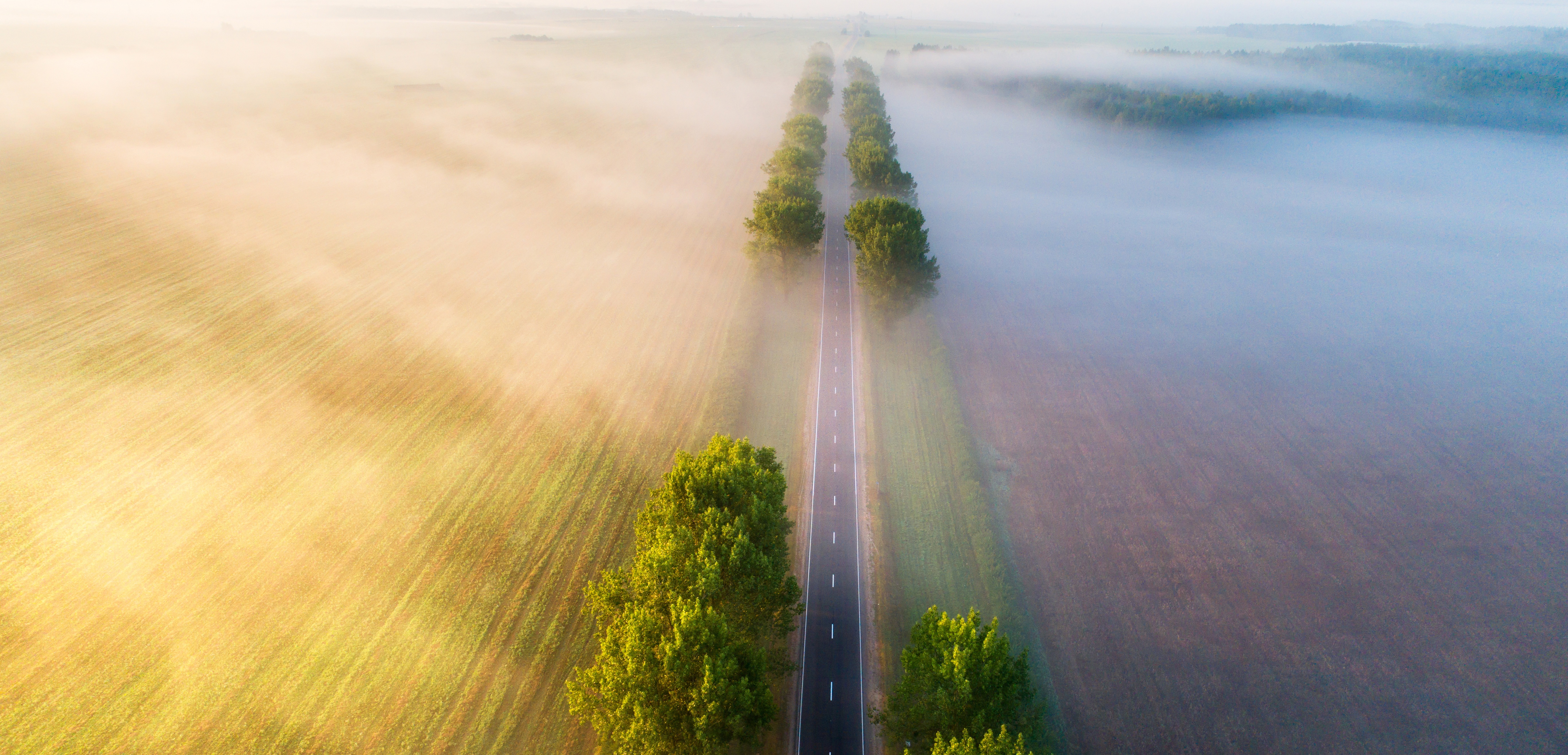 Carbon road image