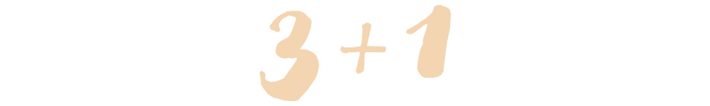 3+1