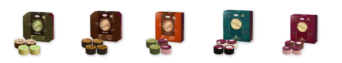 Haagen Dazs Mooncake2