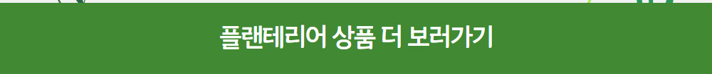 플랜테리어