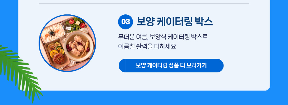 여름 보양