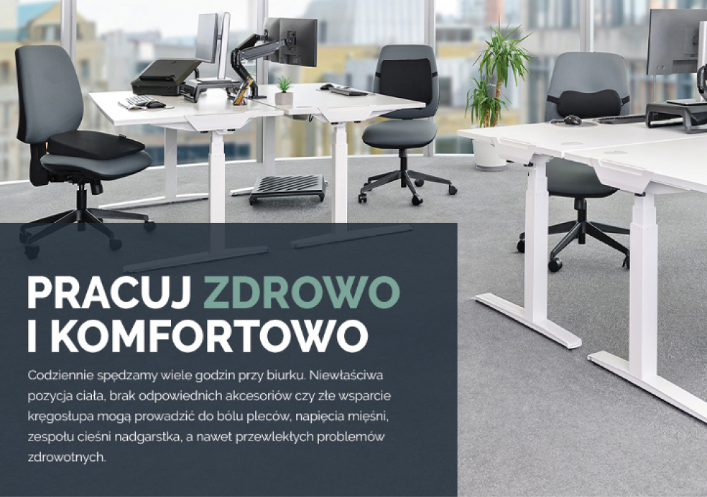 fellowes