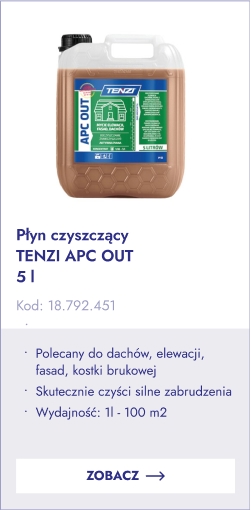 tenzi