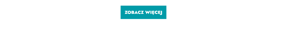 zobacz więcej