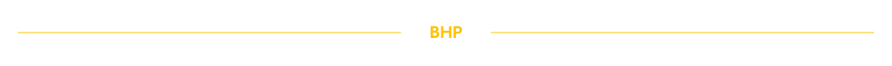 BHP
