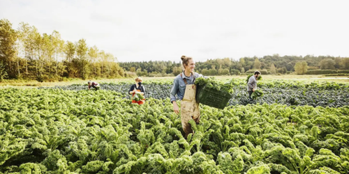 Trvalo udržateľné riešenia