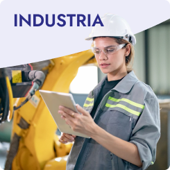 INDUSTRIA NOVEDADES