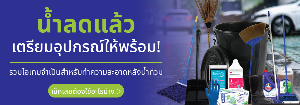 flood cleaning