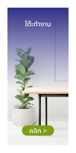 โต๊ะทำงาน โต๊ะสำนักงาน
